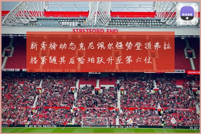 新秀榜动态克尼佩尔强势登顶弗拉格紧随其后哈珀跃升至第六位