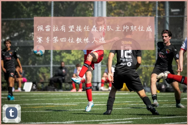 佩雷拉有望接任森林队主帅职位成赛季第四位教练人选